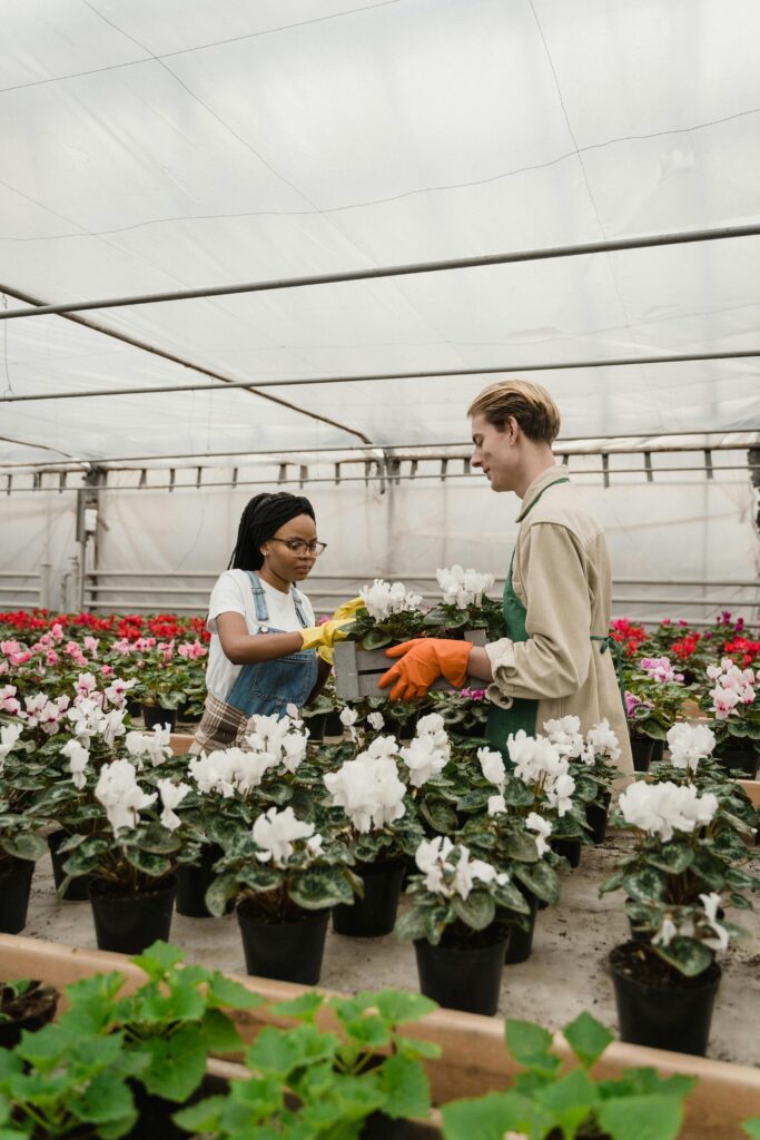 pexels tima miroshnichenko 6508391